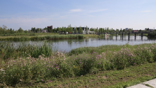 907331 Gezicht op het water aan de zoom van het Máximapark in de wijk Leidsche Rijn te Utrecht, vanaf het Lint ...